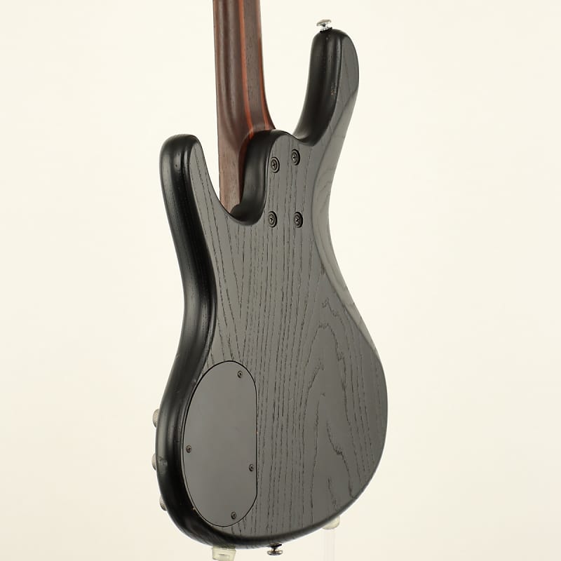 Ibanez アイバニーズ　EDB555 Ergodyne 5弦ベース Ibanez EDB555 WNF – 5 String Bass Guitar - Musicians Cart