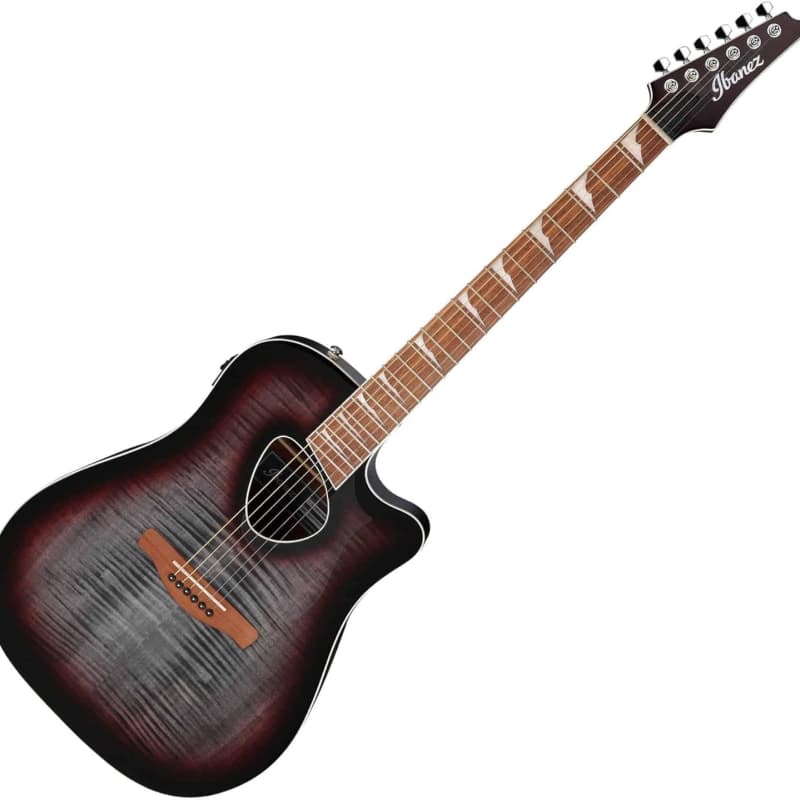 Ibanez AEG10II-NNB | Reverb