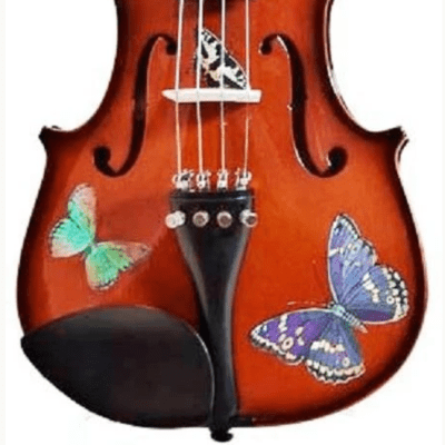 Butterfly Dream Violin Outfit - 3/4 image 1