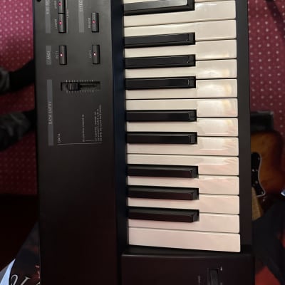 Roland A-33 76-Key MIDI Keyboard Controller 1996 - 2001 - Black