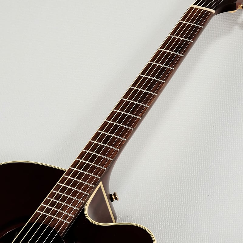 Takamine Dmp012 Sas [Sn 47010117] [10/23]