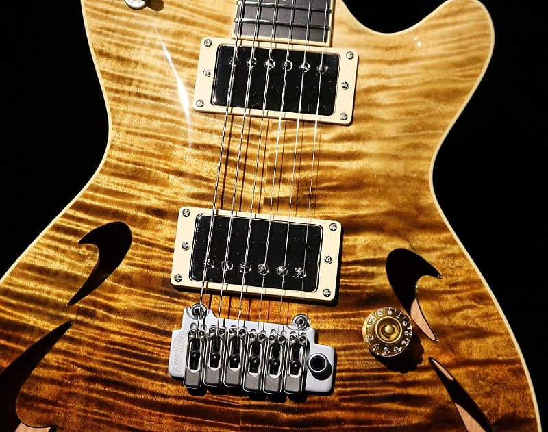 T's Guitars Arc-Hollow 22 Brawn Faded[Made in Japan] | Reverb