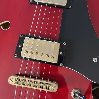 Prestige Musician Pro TR with Bigsby image 6
