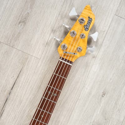 ペリカン BACCI MARLEO Ⅴ STRINGS 34 Bacci Marleo V 34