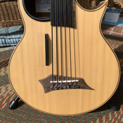 Warwick Alien 6 String Fretless Bass for sale