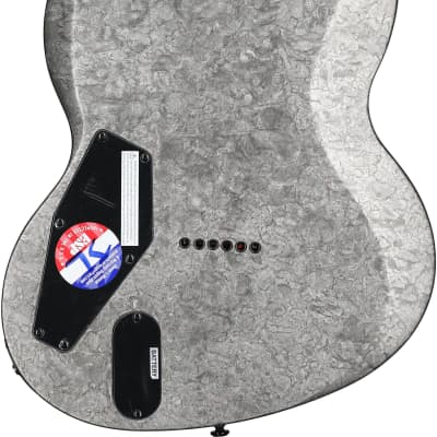 ESP LTD Reba Meyers RM600 Electric Guitar (with Case) image 7