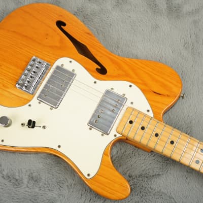 1973 Fender Telecaster Thinline + HSC image 3