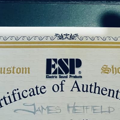 ESP Snakebyte James Hetfield Signature image 8