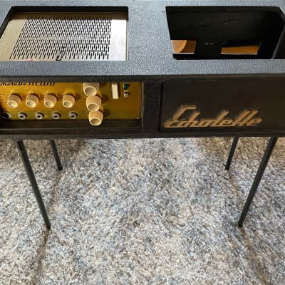 Klemt Echolette M100 rare 60s German vintage tube guitar amplifier w/ rare case/stand. See video! image 2