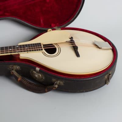 Gibson  Style A-3 Carved Top Mandolin (1919), ser. #53834, original black hard shell case. image 12