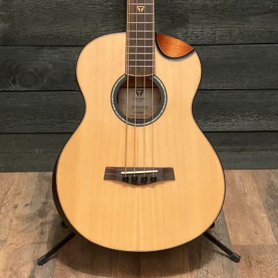 Traveler CL-3BE Acoustic-Electric Bass Guitar w/ Gigbag image 1