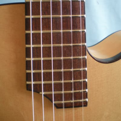 Slaman - Nylon String Jazz, Custom Acoustic Archtop Guitar (2009) image 13