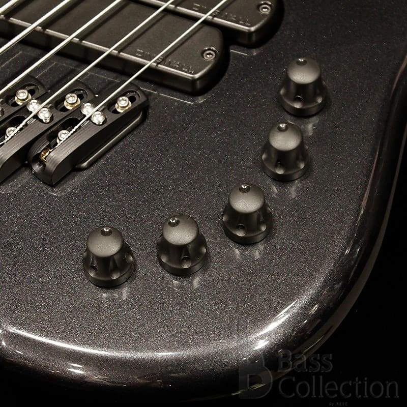 Dingwall LSS5-GMB / Lee Sklar Signature (Gun Metallic Black)