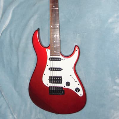 Chatting Bird by Caparison HSS -Guitars4cancer- Flame Maple
