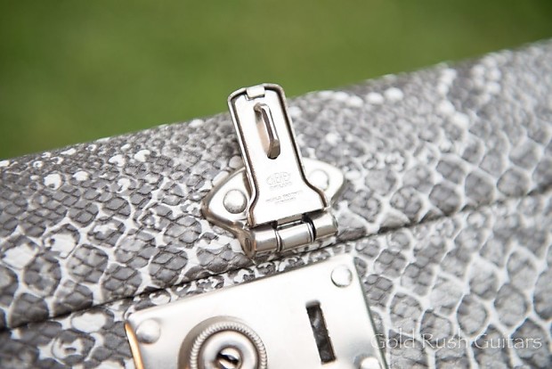 Snakeskin guitar case hot sale