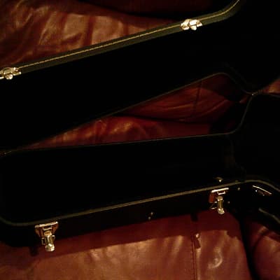 KARERA 335-Style Semi-Hollow Body Electric Guitar *BEAUTIFUL with WARM-TONE & *FREE Hard-Shell Case!!! image 25