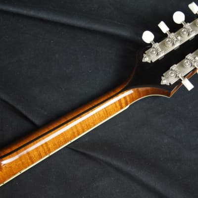 Brand New Bourgeois A Style Mandolin Model M5A Adi Top / Flamed Bosnian Maple ALL TORRIFIED image 17