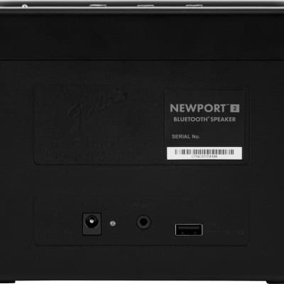 Fender Newport 2 image 2