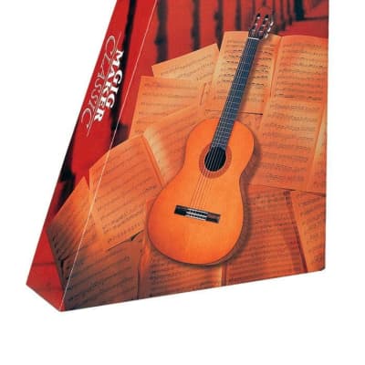 C40 PKG Nylon-String Classical Acoustic Guitar Package image 2