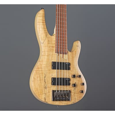 ESP LTD B-205SM-FL 5-String Bass G uitar   - 5-String Electric Bass image 6