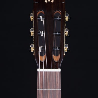 Cordoba C7-CE Cedar Top Nylon String Guitar image 9