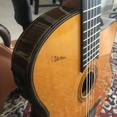 Gitane  DG-455 Gypsy Guitar image 3