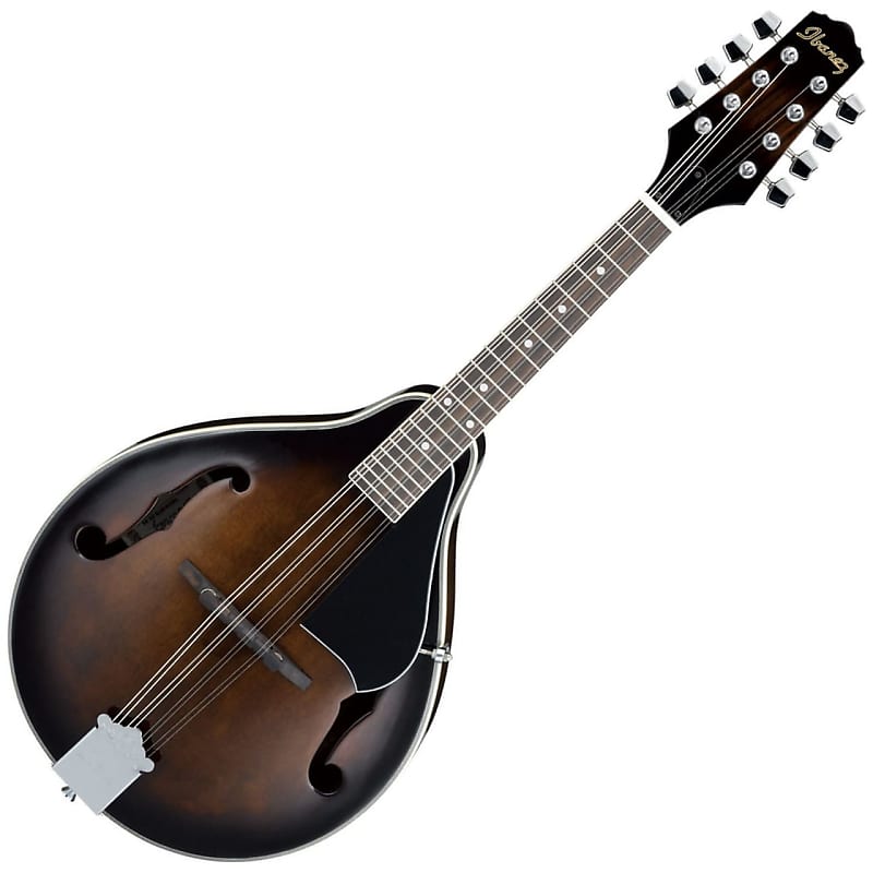 ibanez アイバニーズ マンドリン M510DVS 海外インポート ケース付 Ibanez M510 AStyle Mandolin Acoustic-Electric GuitarOpen