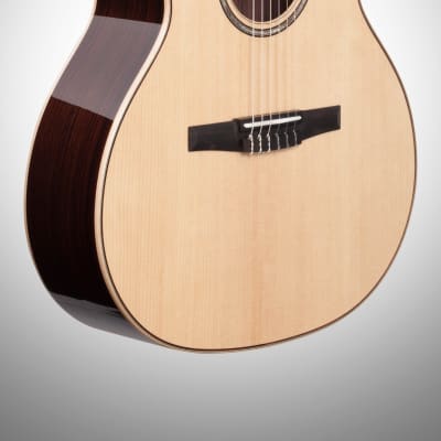 Taylor 814ce-N Grand Auditorium Classical Nylon Acoustic-Electric Guitar (with Case) image 3