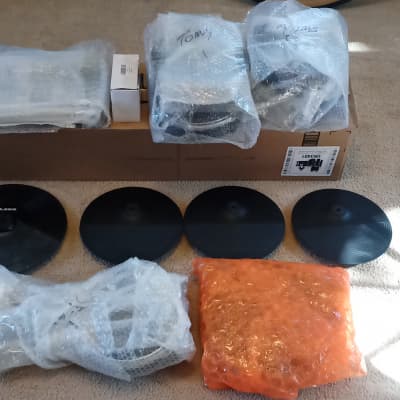 Alesis DM10 Pro Kit with rack