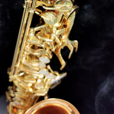 Jupiter Jas-567-565 Alto Saxophone | Reverb
