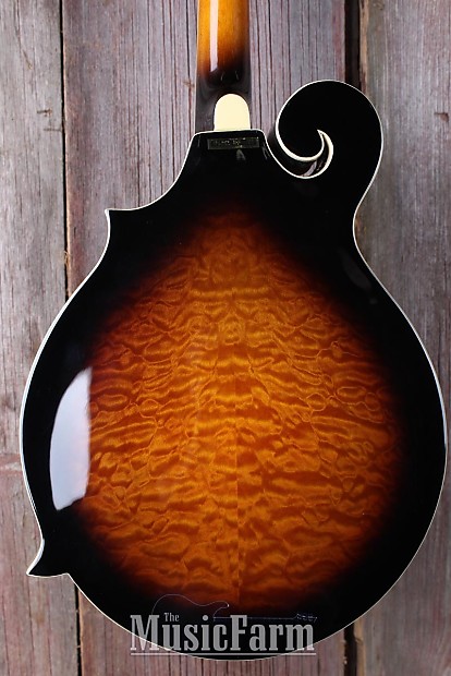 超歓迎 MF1 Samick Heritage Hardshell with Mandolin Style F Series 弦楽器
