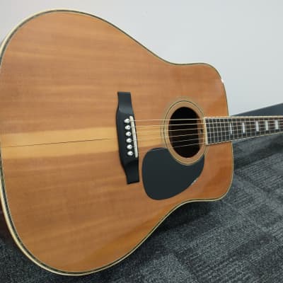 Cats Eyes by Tokai CE-280D Acoustic Guitar | Reverb