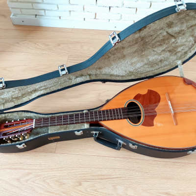 SUZUKI MANDOCELLO スズキ マンドチェロ MC-836 SUZUKI MANDOCELLO スズキ マンドチェロ MC-836 スズキ マンドチェロ