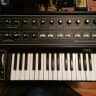 Moog MicroMoog Fully Restored with Love, Includes case and 1/4" to s trigger