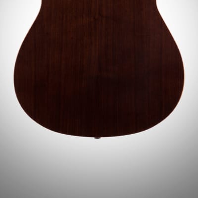 Alvarez Cadiz Classical Armrest Acoustic-Electric Guitar image 5