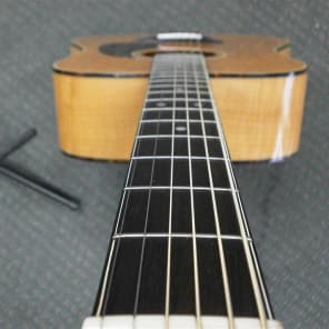 Hohner HG340 Limited Edition Acoustic Guitar image 10