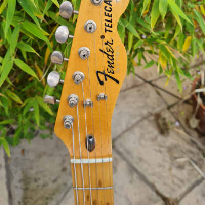 Fender TN-72 Thinline Telecaster Reissue MIJ image 6
