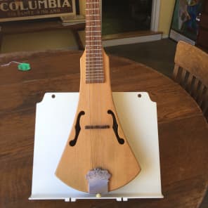 Martin backpacker store mandolin