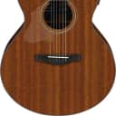 Ibanez AE295LLGS Left-Handed Acoustic-Electric Guitar, Natural Low Gloss Satin