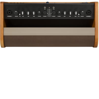 Fender Acoustic 100 image 4