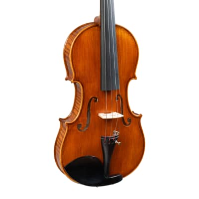 Petru Luca Hand-Made Violin 4/4 Romania 2020 #23 image 3