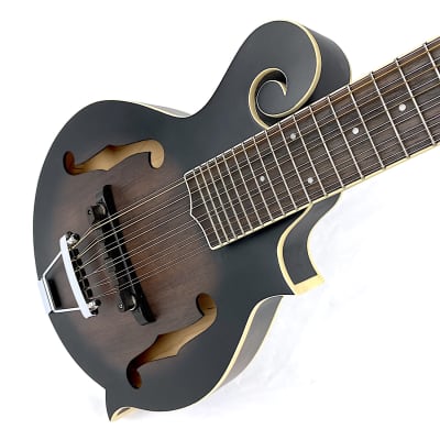 Gold Tone F12 F-Style 12-String Mando-Guitar 2021 Tobacco Sunburst Satin image 5