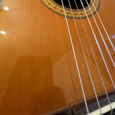 Esteve Esteve Classical Guitar 3E R.640 image 12