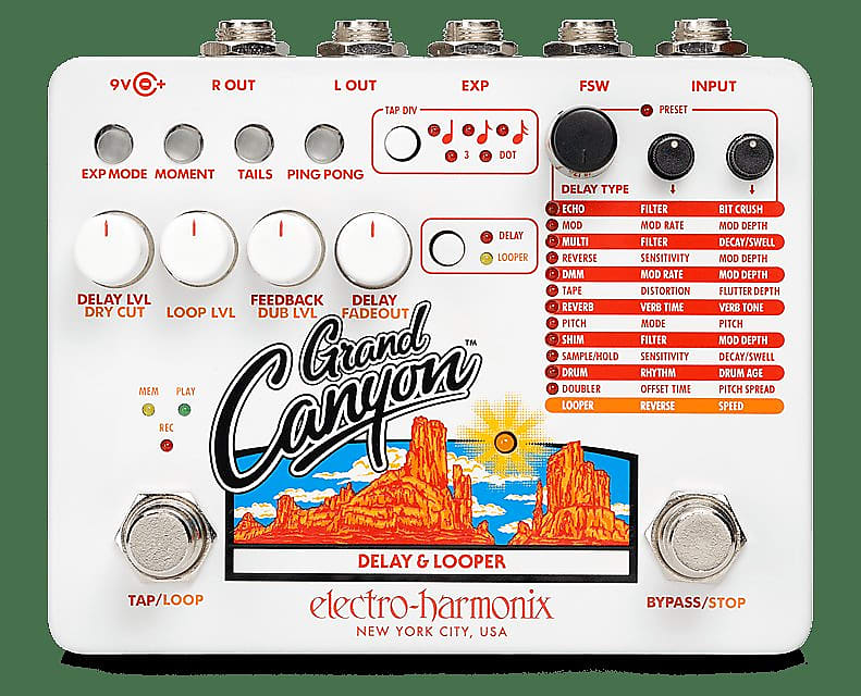 Electro-Harmonix Grand Canyon Delay and Looper | Reverb