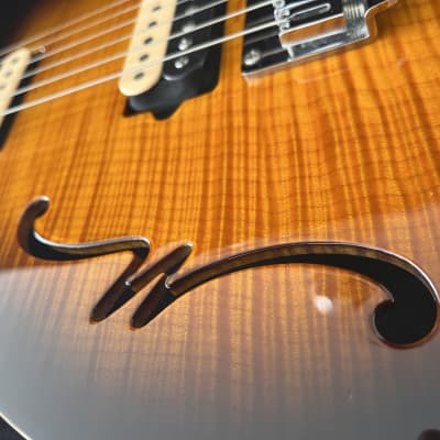 Ernie Ball Music Man Axis Super Sport Semi-Hollow HH Hardtail with Maple Fretboard 2010s - Tobacco Burst image 3