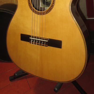 Vintage Circa 1969 Giannini AWN-21 Classical Nylon String Acoustic Guitar image 1