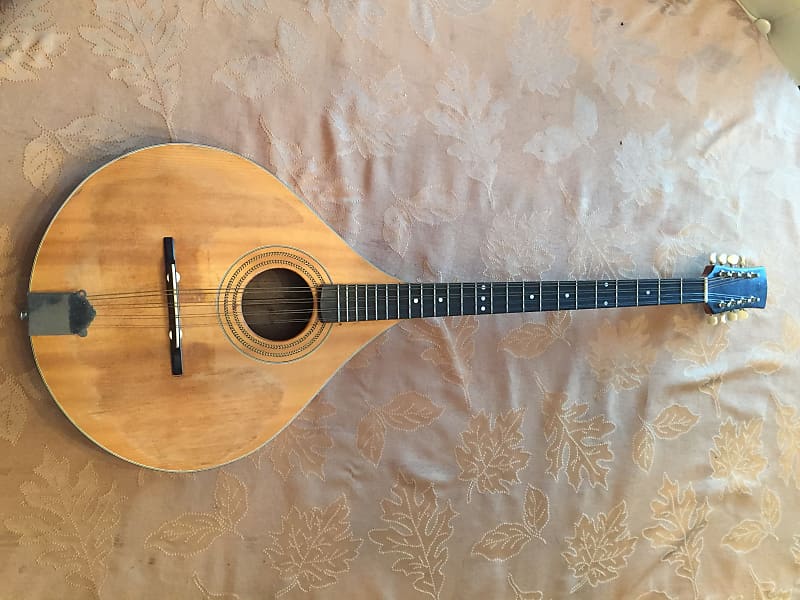 Irish Bouzouki/octave mandolin Reverb