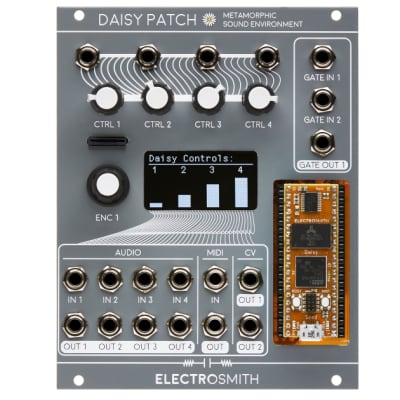 ELECTROSMITH Daisy Patch Assembled -Metamorphic Sound Environment image 1