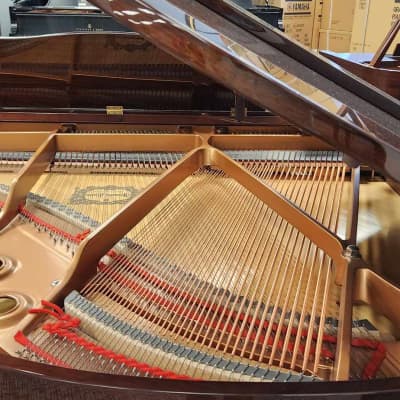 2018 Yamaha Gb1k Polished Walnut 5' Baby Grand Piano * Free 1st Floor NJ delivery! image 9