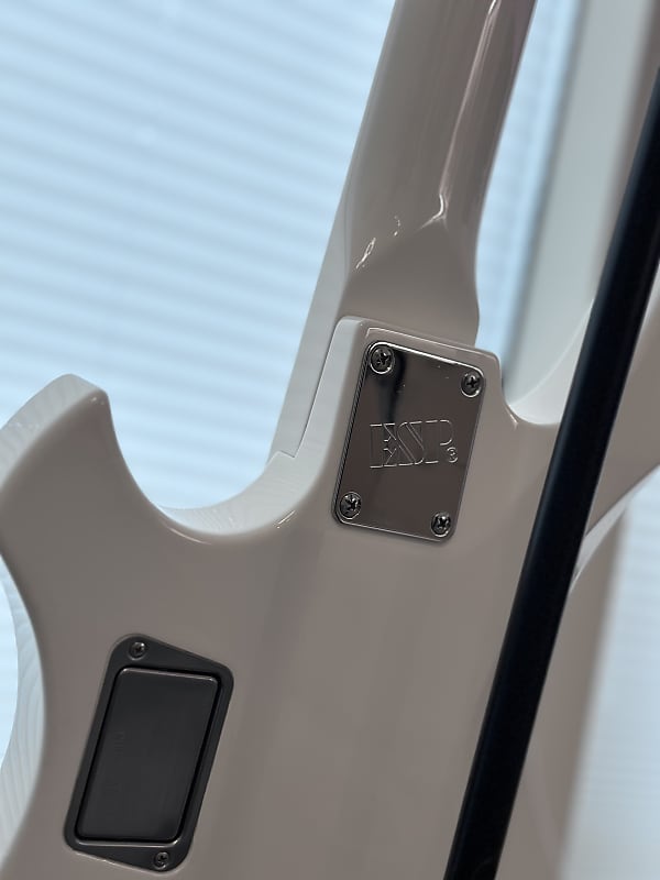 ESP RF-00SL#1 REITA - the GazettE | Reverb ESP RF-00SL#1 REITA - the GazettE | Reverb
